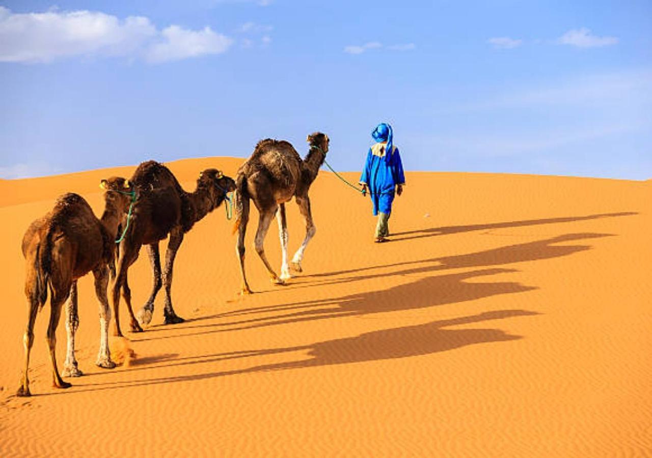 Desert Glamping Experience 메르주가 외부 사진