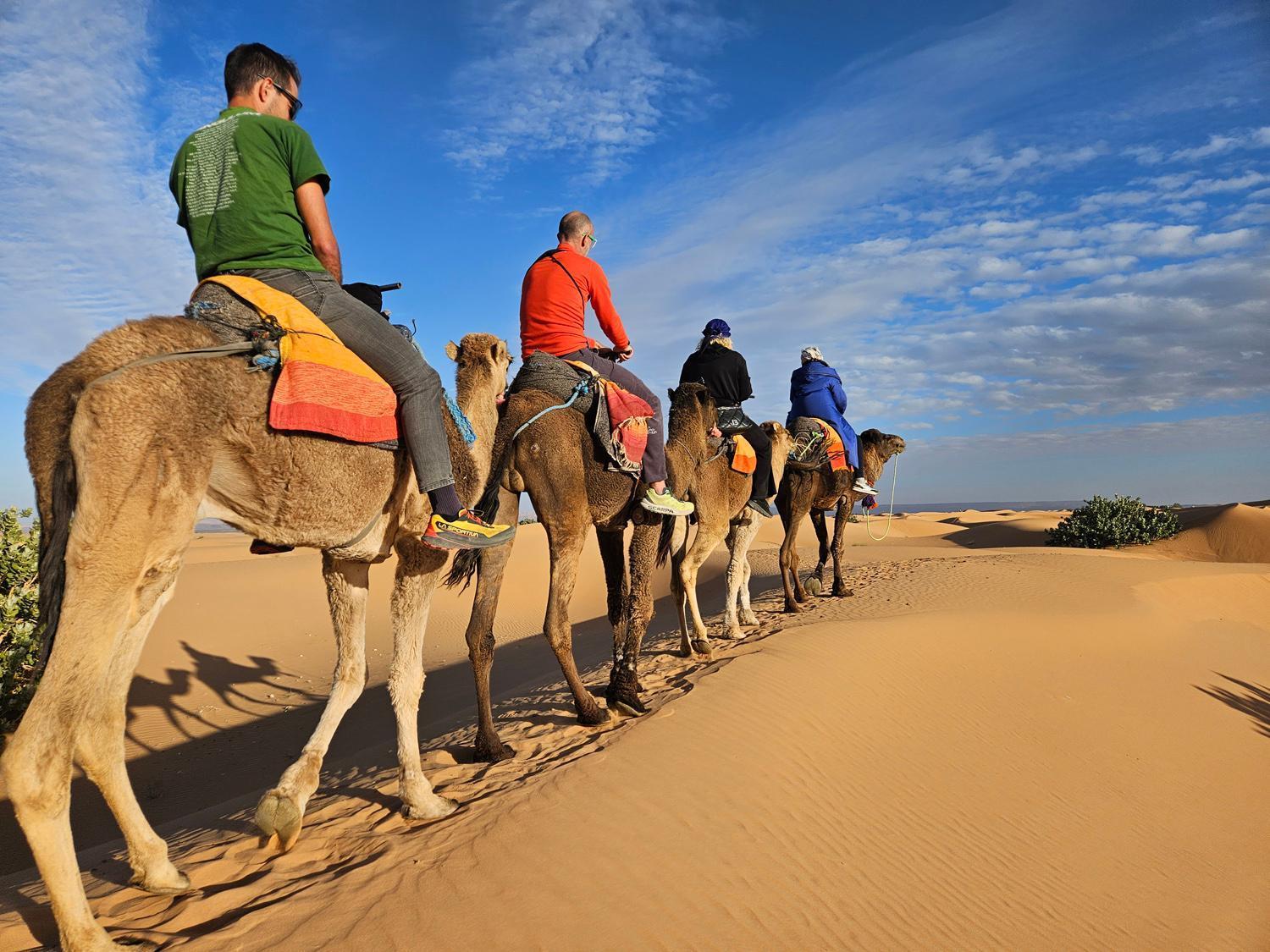 Desert Glamping Experience 메르주가 외부 사진